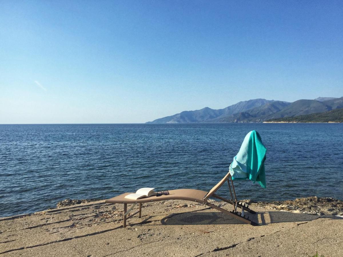 Villa I Merli Nous Contacter Avant Reservation Saint-Florent  Exterior foto